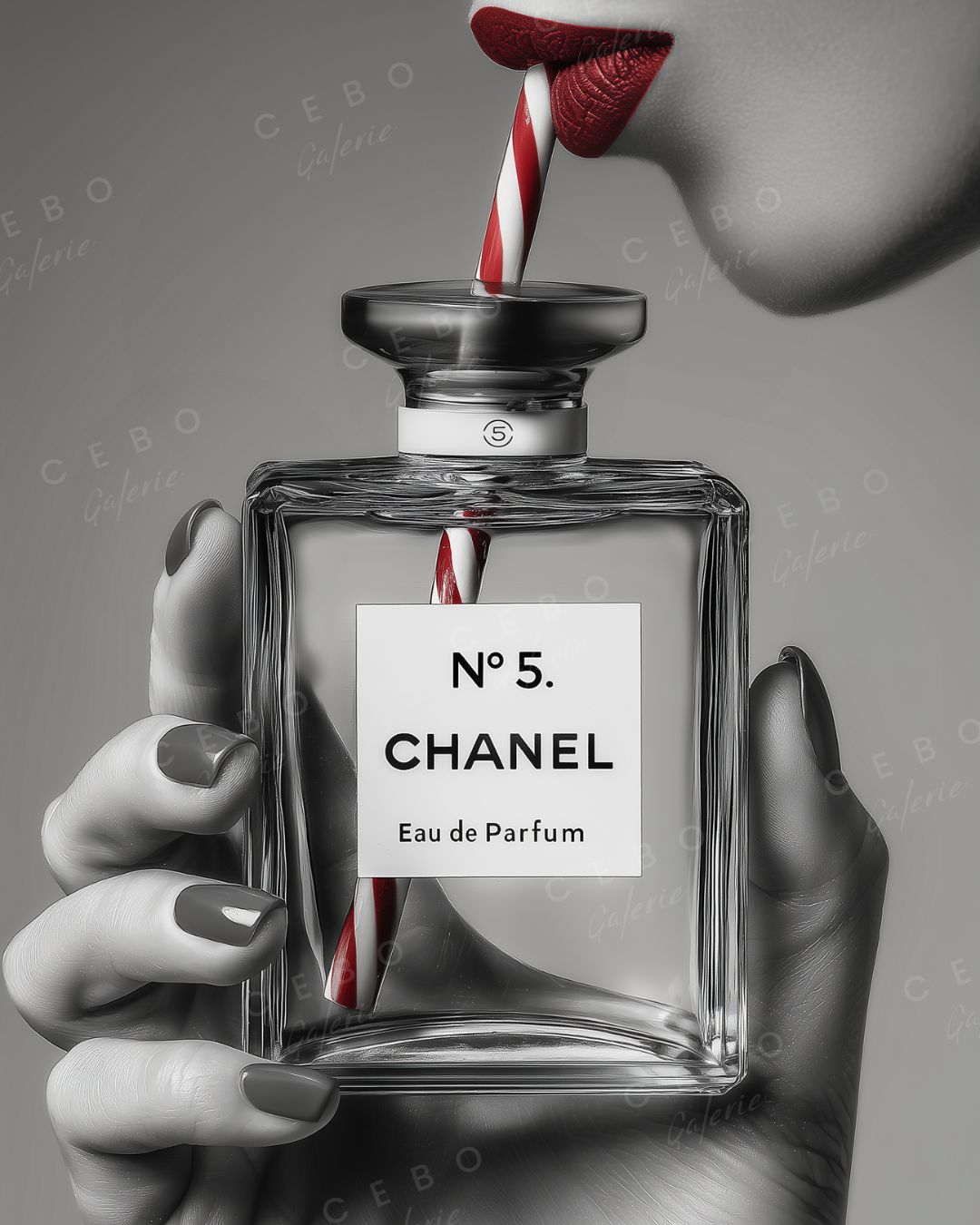 Affiche Élixir N°5