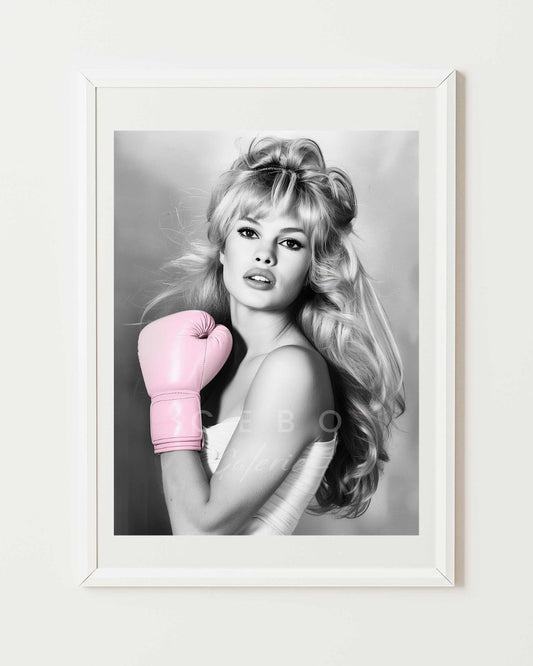 Affiche Combat de Bardot