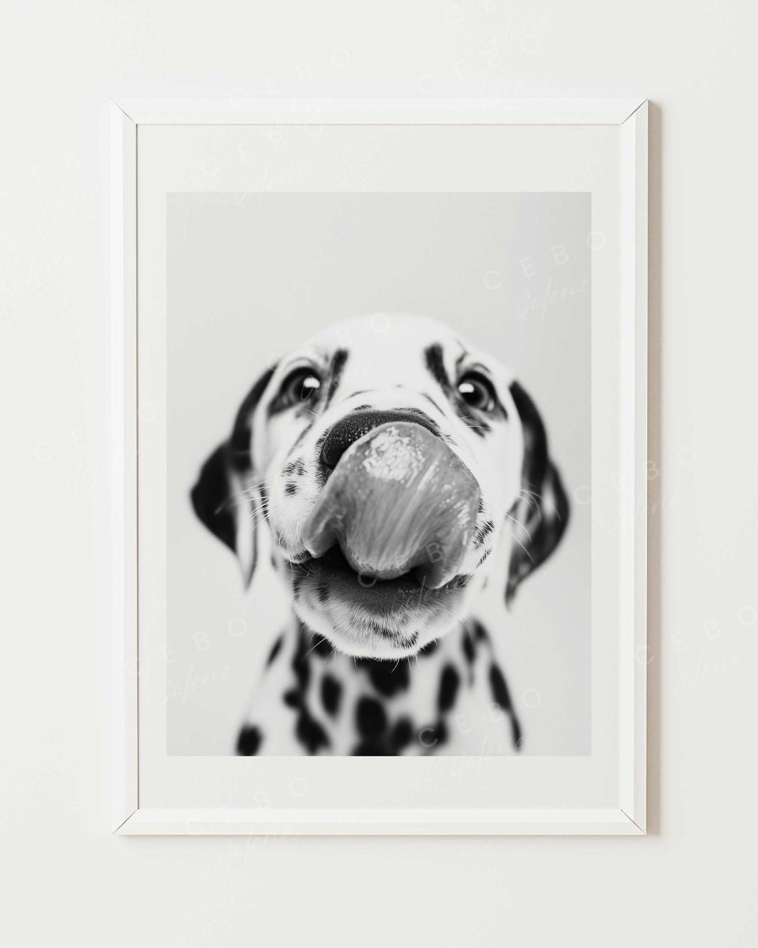 Affiche Dalmatian Kiss
