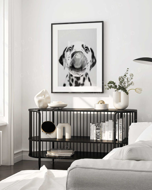 Affiche Dalmatian Kiss