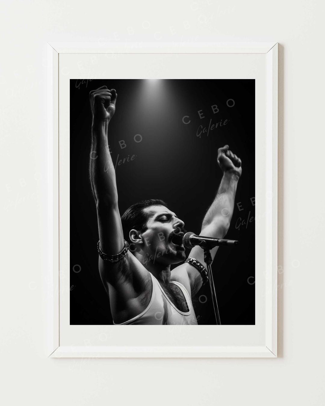 Affiche Freddie Éternel