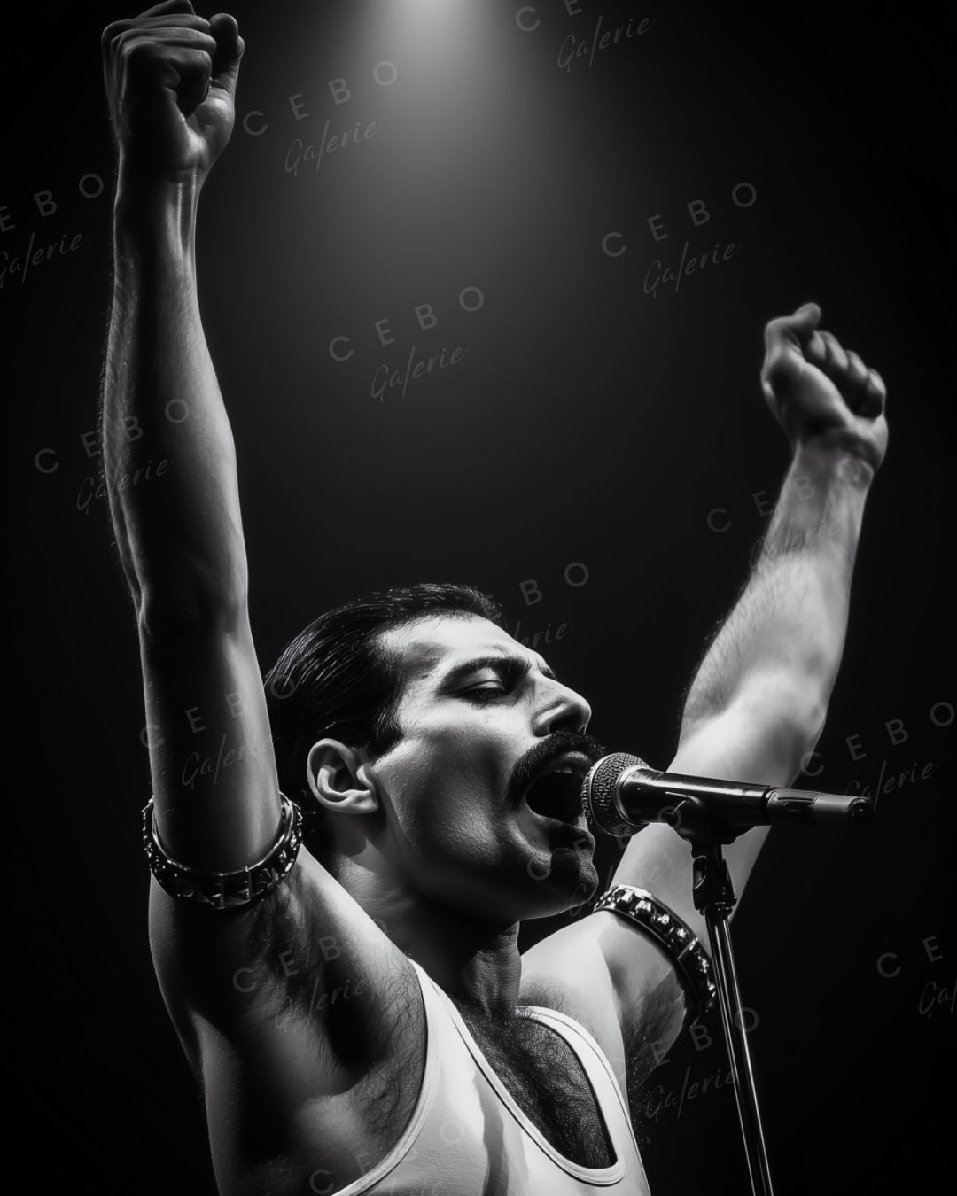 Affiche Freddie Éternel