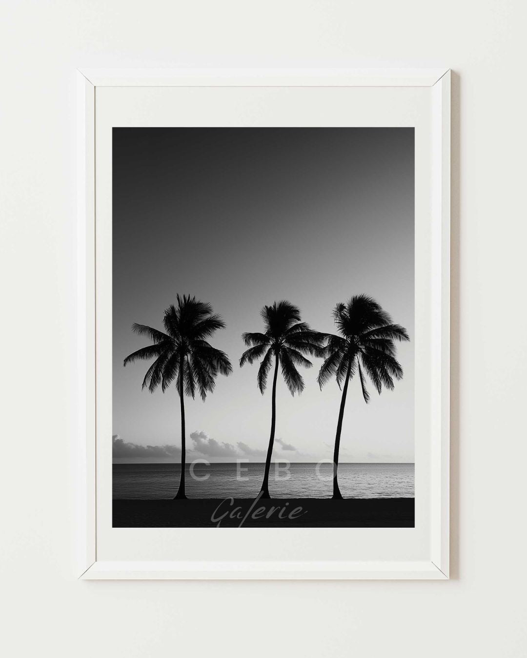 Affiche Plage Monochrome