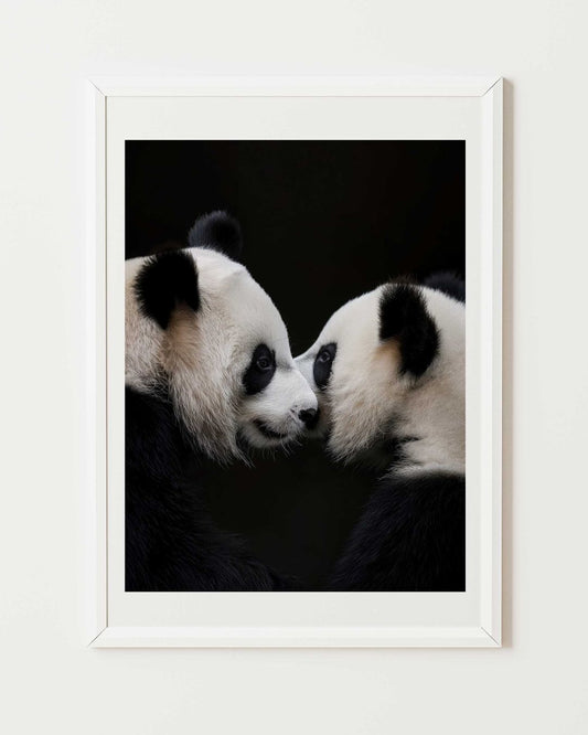 Affiche Secret de Pandas